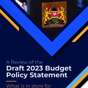 A-Review-of-the-Draft-2023-Budget-Policy-Statement-What-is-in-store-for-MSMEs-Jan-2023-1-pdf